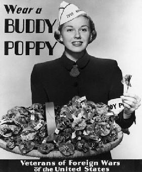 Miss Buddy Poppy